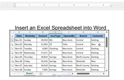 insert excel spreadsheet in word doc