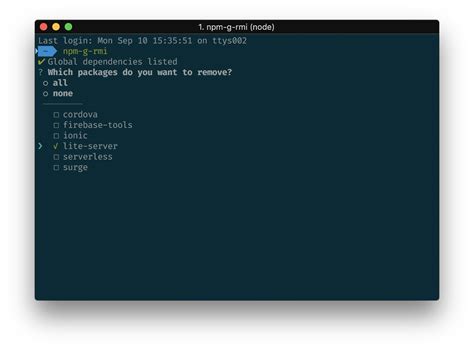 install git npm global