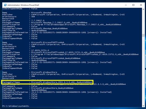 install windows store package powershell