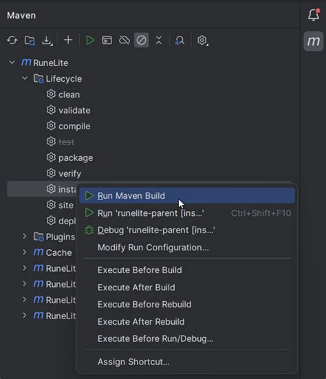intellij idea run maven build