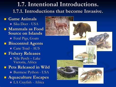 intentional introduction of invasive species