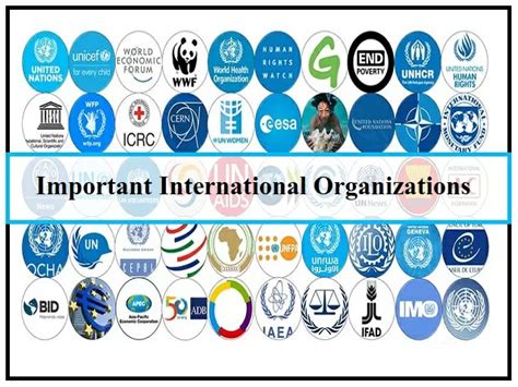 inter governmental organization examples