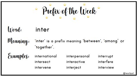 inter prefix examples sentences