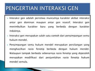 interaksi antar karakter