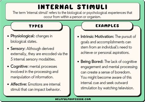 internal development examples biology