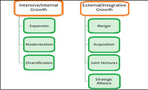 internal growth examples in business