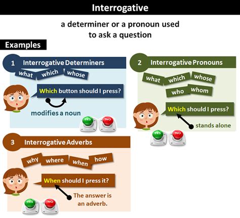 interrogative determiners examples sentences