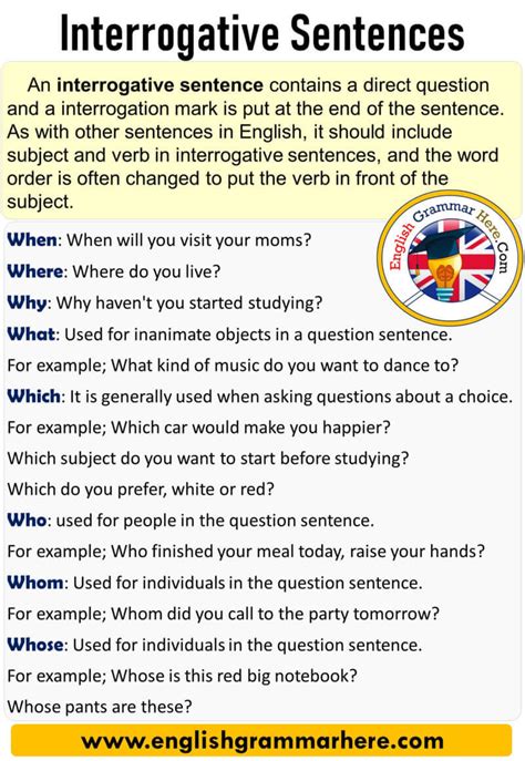 interrogative sentences in english examples