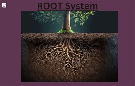 intro meaning root