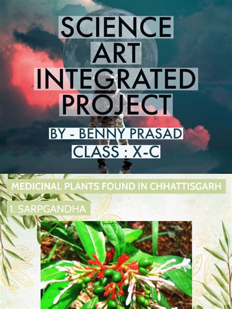 introduction for science art integrated project