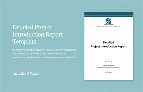 introduction of project meaning