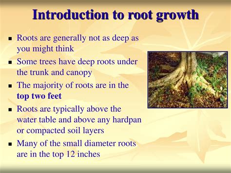 introduction of root