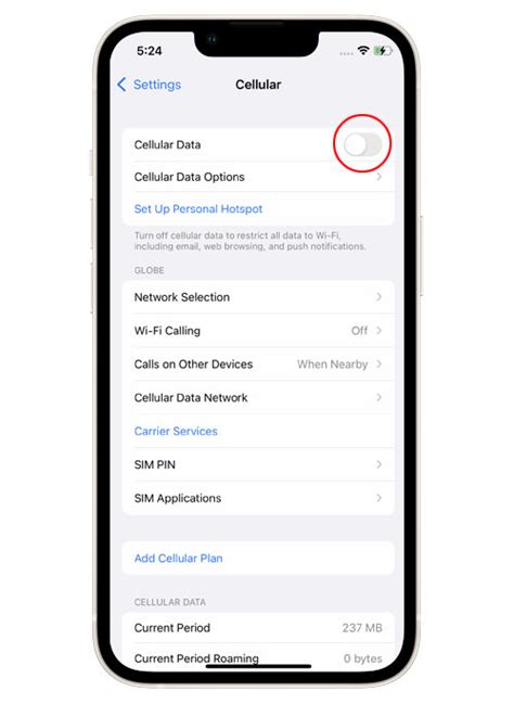 iphone 13 cellular data not working reddit