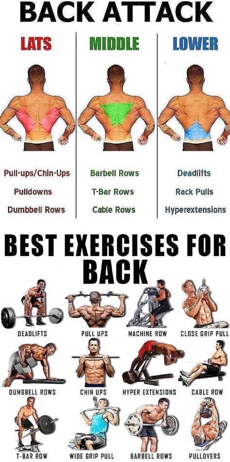 is 2 back exercises enough