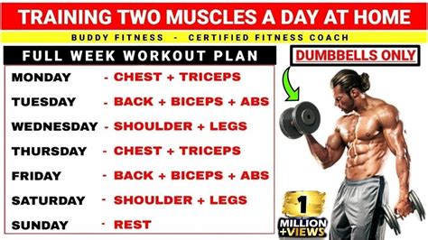 is 2 bicep exercises a week enough