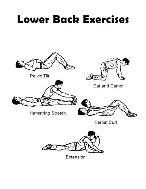 is 5 exercises enough for back