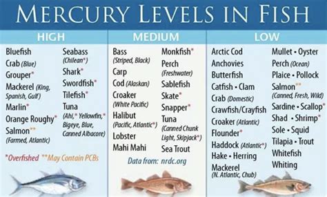 is basa fish high in mercury in australia