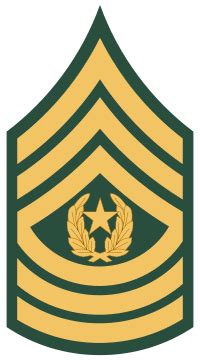 is command sergeant major a high rank