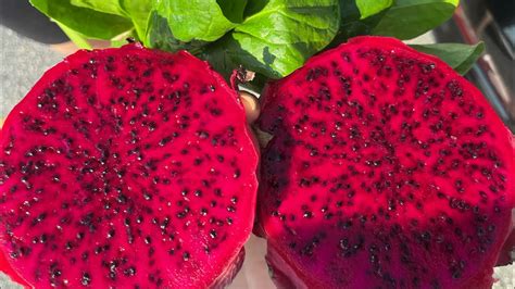 is dragon fruit red inside