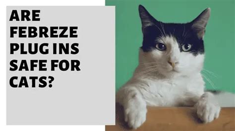 is febreze pet plug in safe for cats