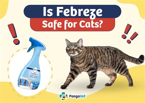 is febreze plug-in safe for cats to smell