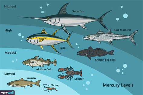 is fish high in mercury