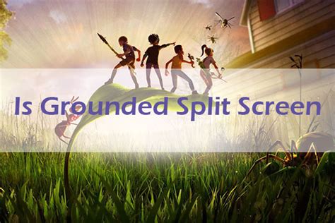 is grounded split screen on switch
