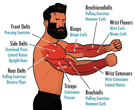 is it bad to do arm exercises every day