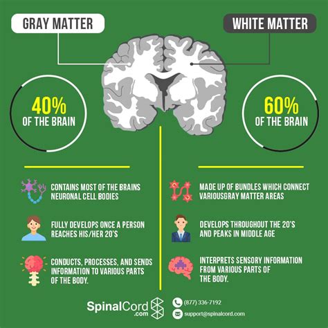 is it bad to have white matter in the brain