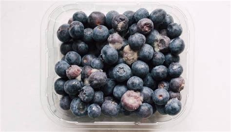 is it safe to eat blueberries if one is moldy