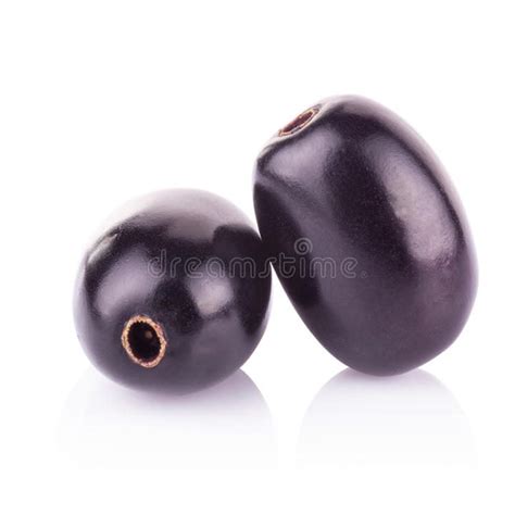 is java plum edible
