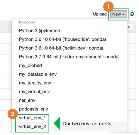 is jupyter notebook a python environment