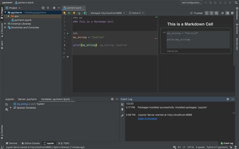 is jupyter notebook slower than pycharm