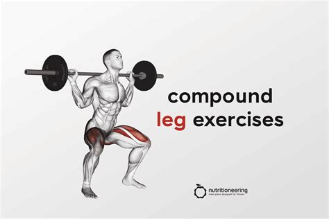 is leg curl a compound exercise