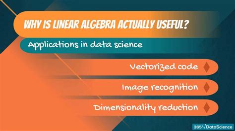 is linear algebra useful