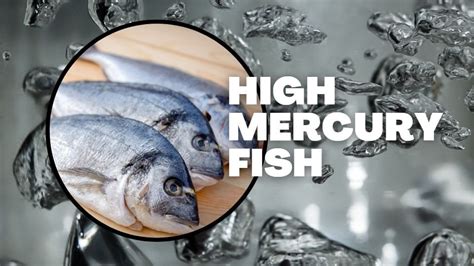 is maya maya fish high in mercury