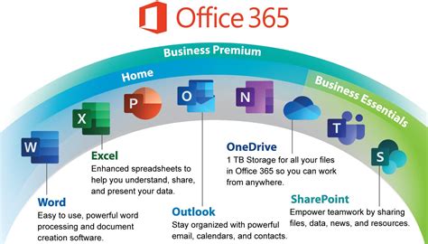 is microsoft 365 a program