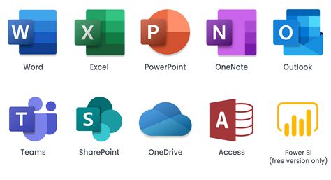 is microsoft office software