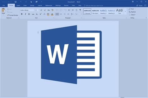 is microsoft word a software application