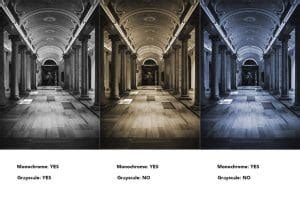 is monochrome the same as grayscale