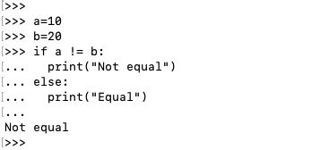 is not equal to null in python