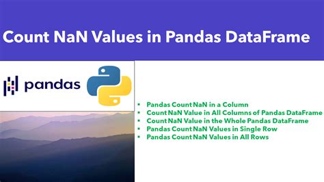 is not nan python dataframe