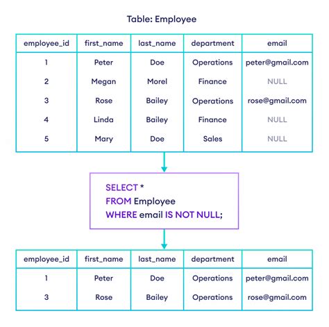 is null is not null sql