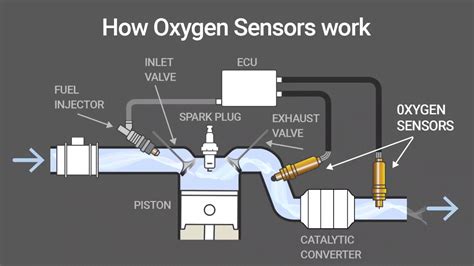 is oxygen sensor important