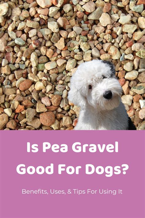 is pea gravel good for a dog run