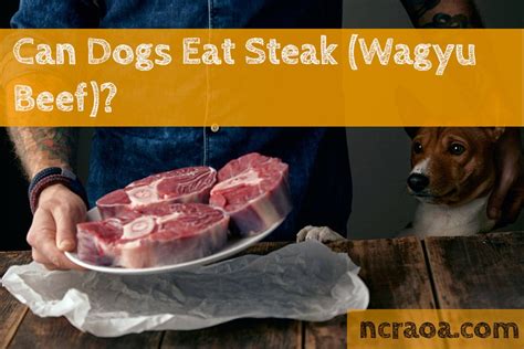 is raw beef hard for dogs to digest