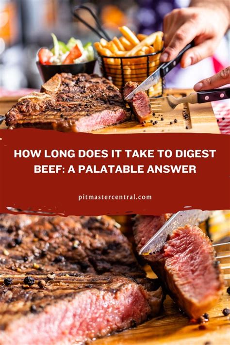 is raw beef hard to digest