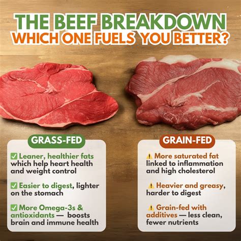 is raw beef harder to digest
