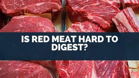 is raw meat hard to digest