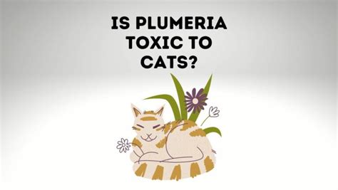 is rust poisonous to cats